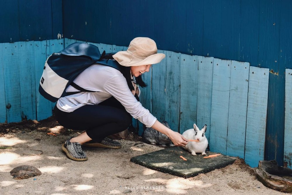 รีวิว สวนสนุก Dream world