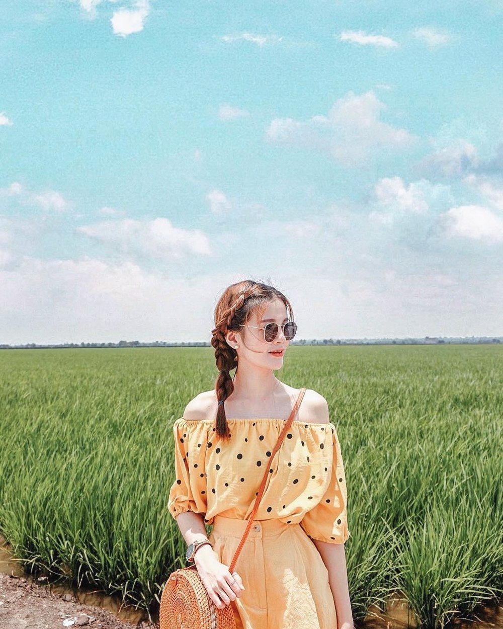 sekinchan selangor paddy fields