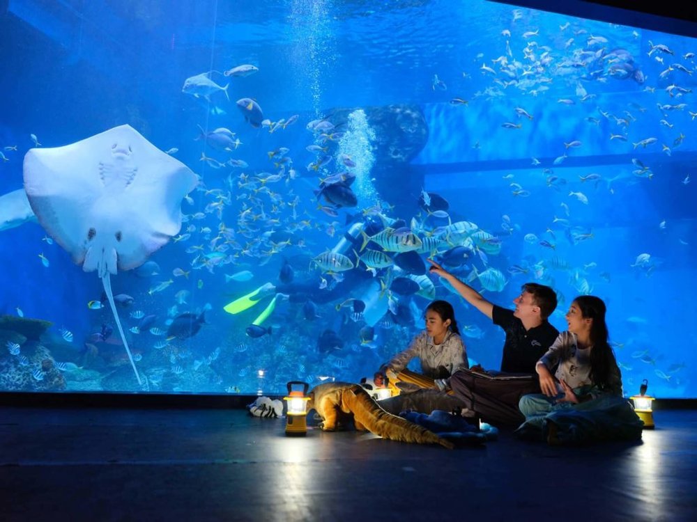 Jakarta Aquarium Lounge