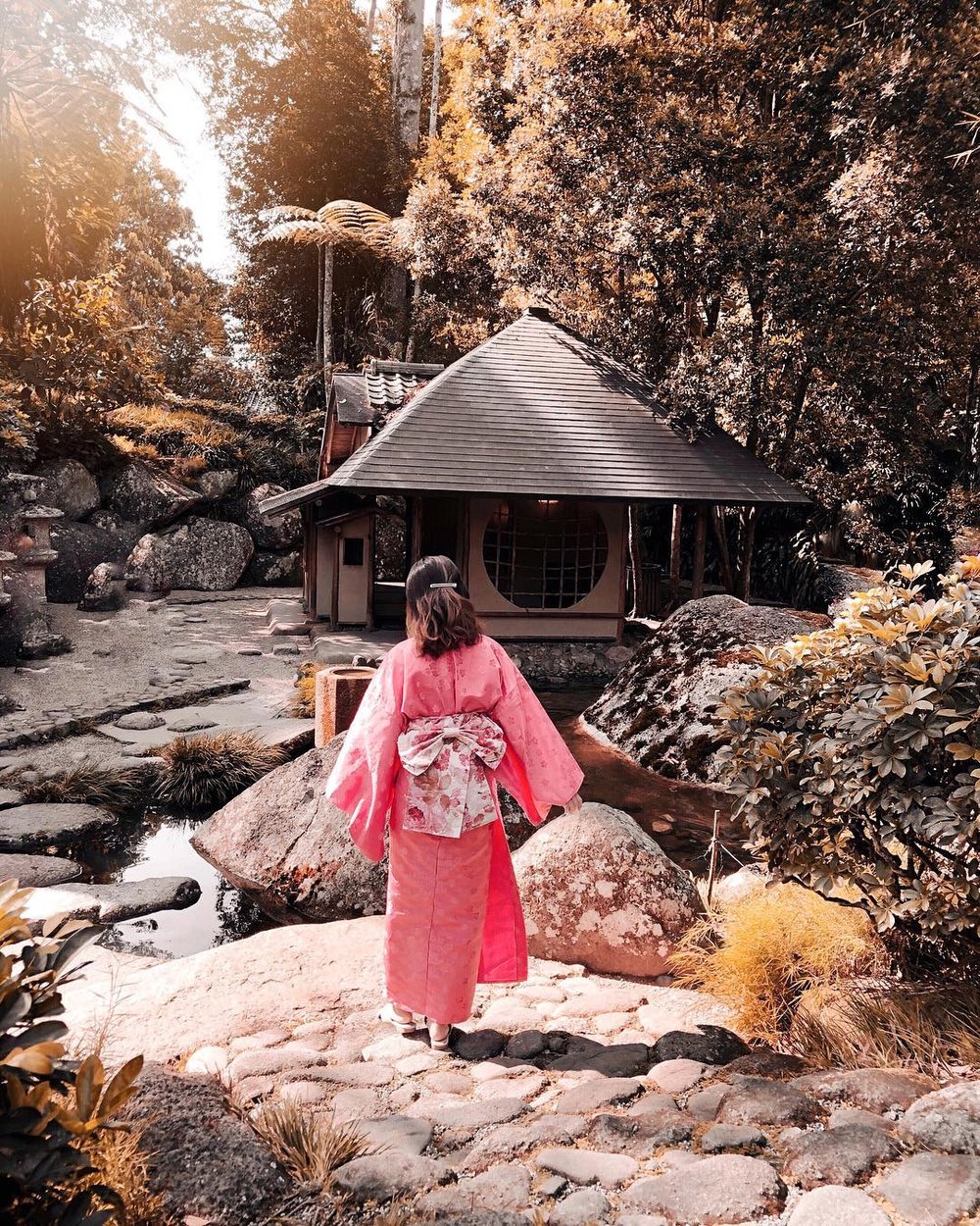 日本村 fraser hill