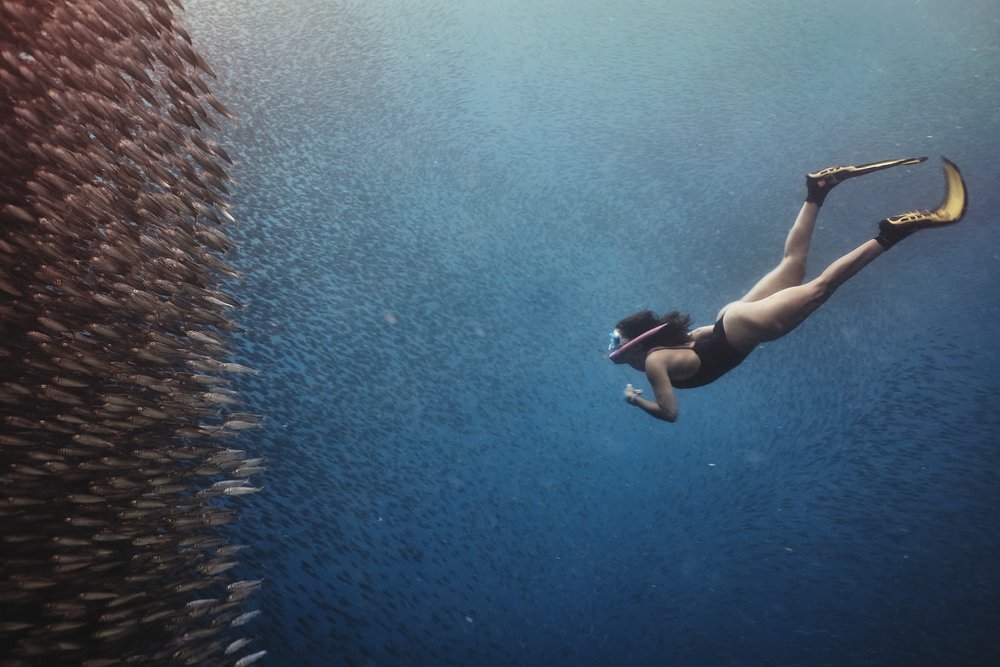 Complete Guide To Getting A PADI Diving License Price, Best Packages