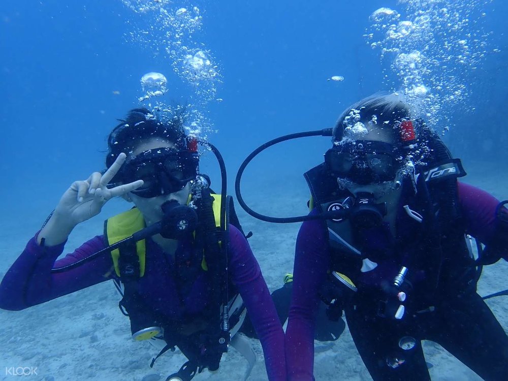padi diving license kl