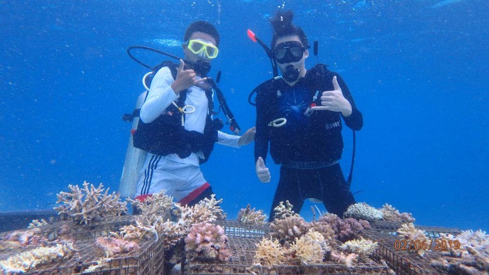 try diving semporna sabah