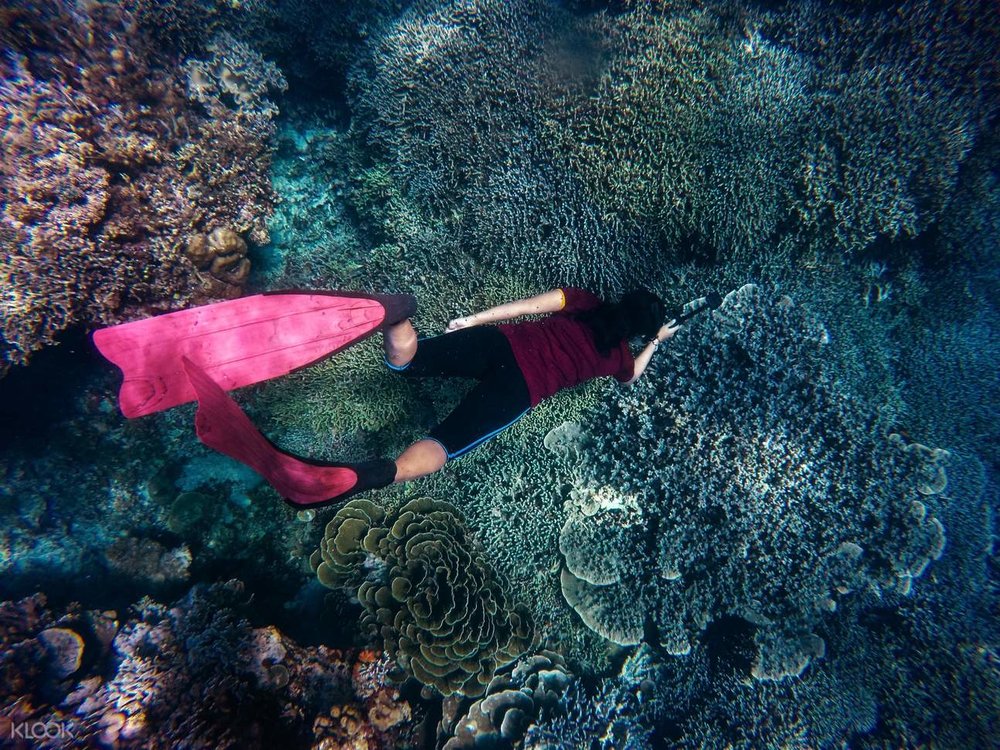 pulau redang diving