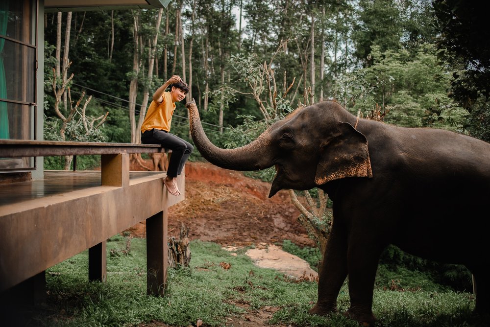  ประสบการณ์ที่พักพร้อม Morning Call จากน้องช้าง 