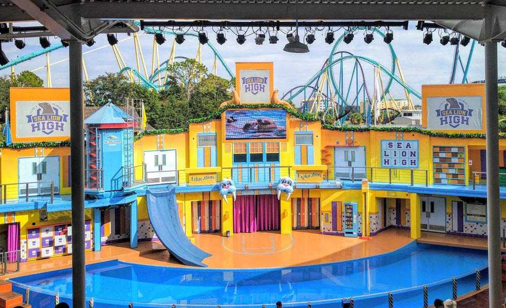 SeaWorld Orlando - Sea Lion High