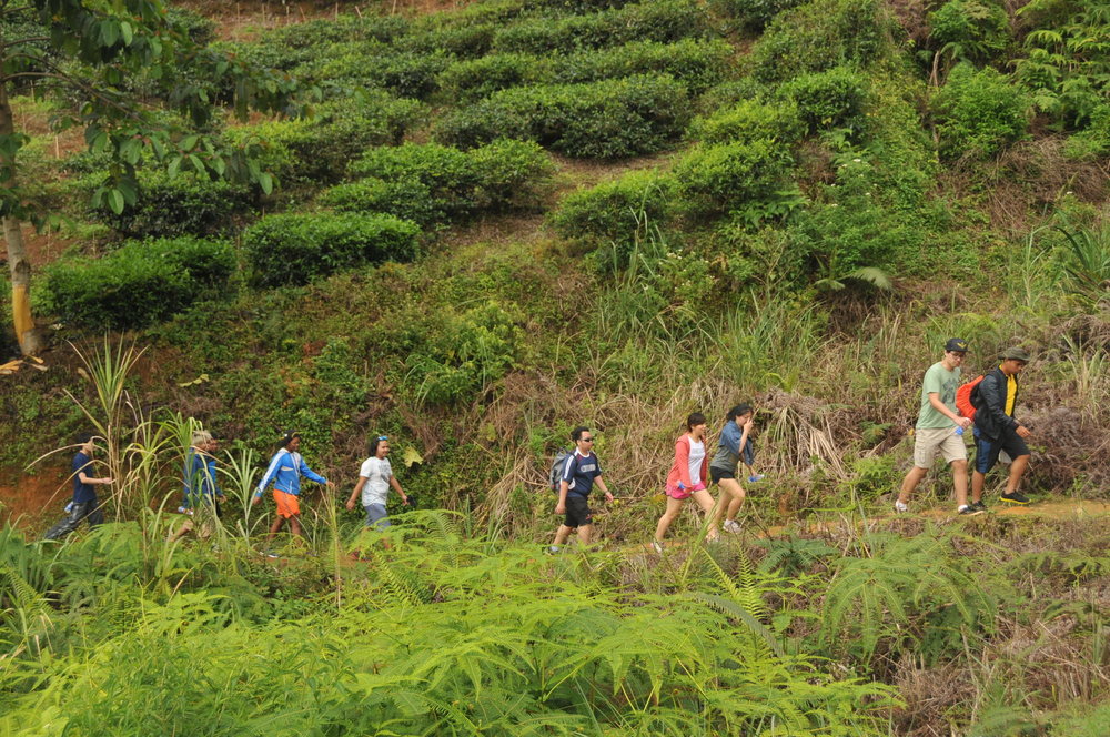 Trekking Curug Sentral Sukabumi
