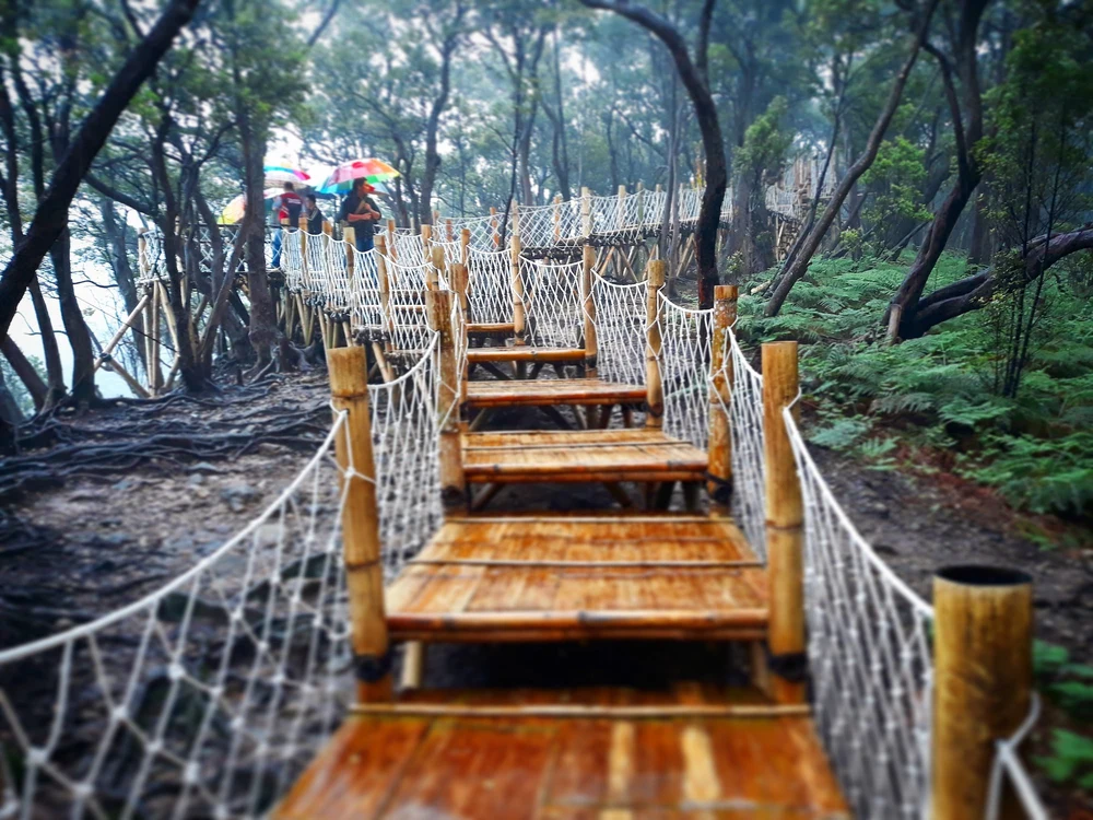 Skywalk Kawah Putih Ciwidey