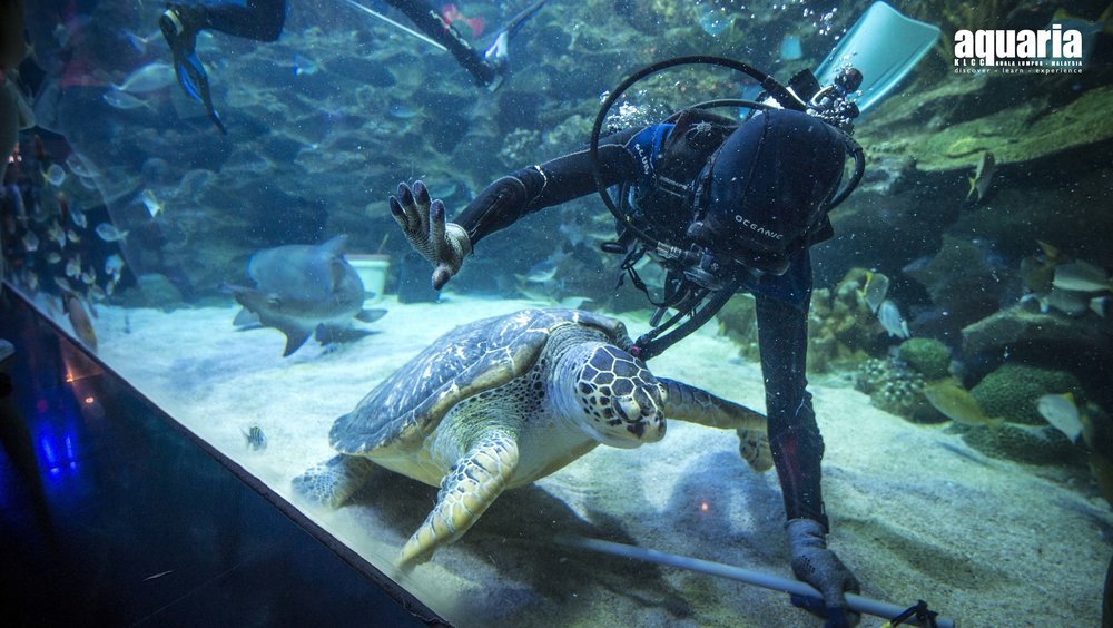 aquaria klcc tickets