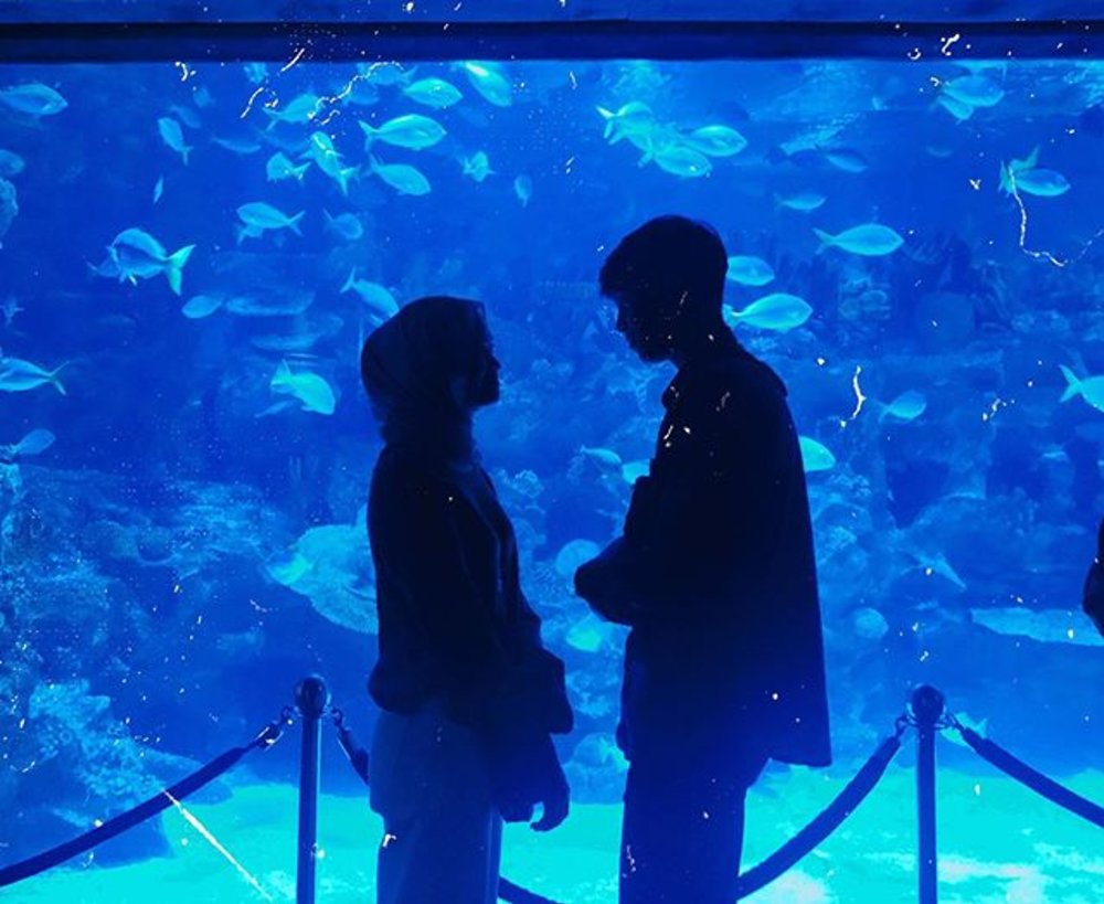 aquaria klcc tickets