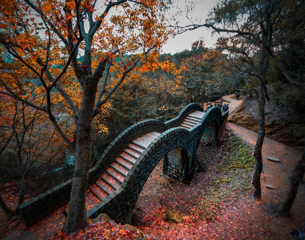 新北賞楓景點：汐止拱北殿