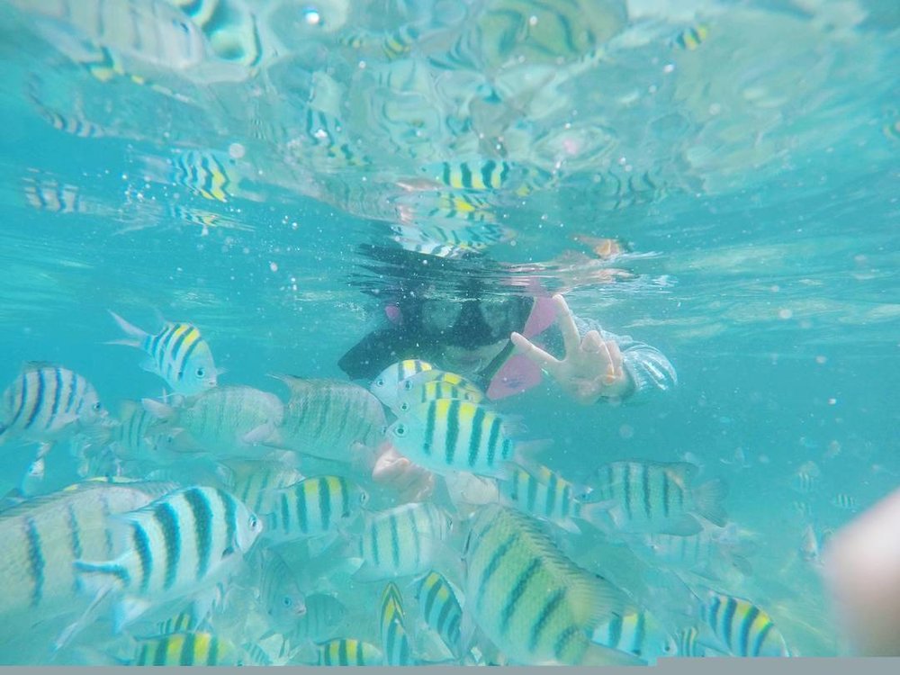 pulau perhentian snorkelling