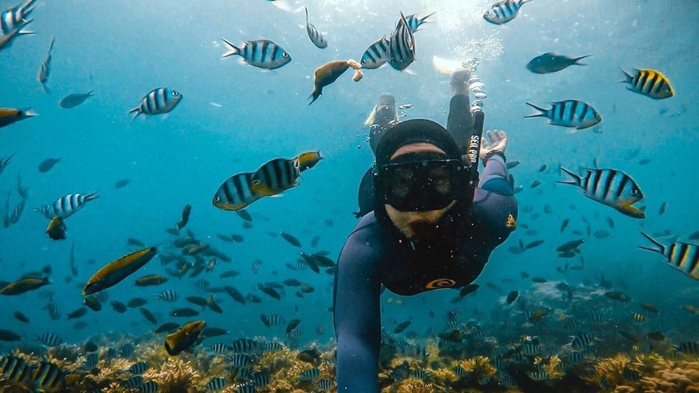 pulau perhentian diving