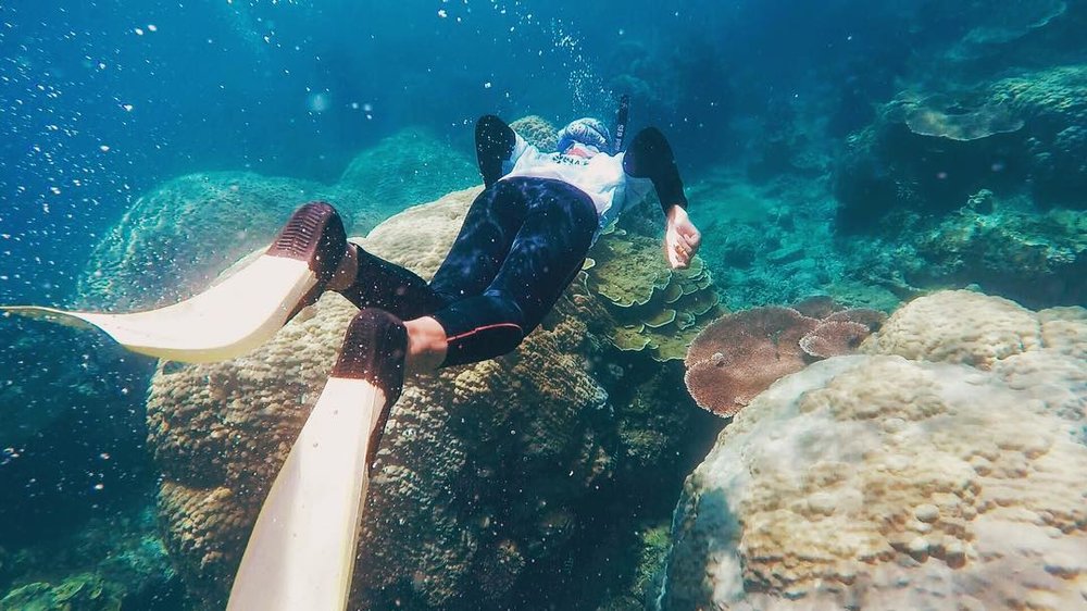 pulau perhentian diving