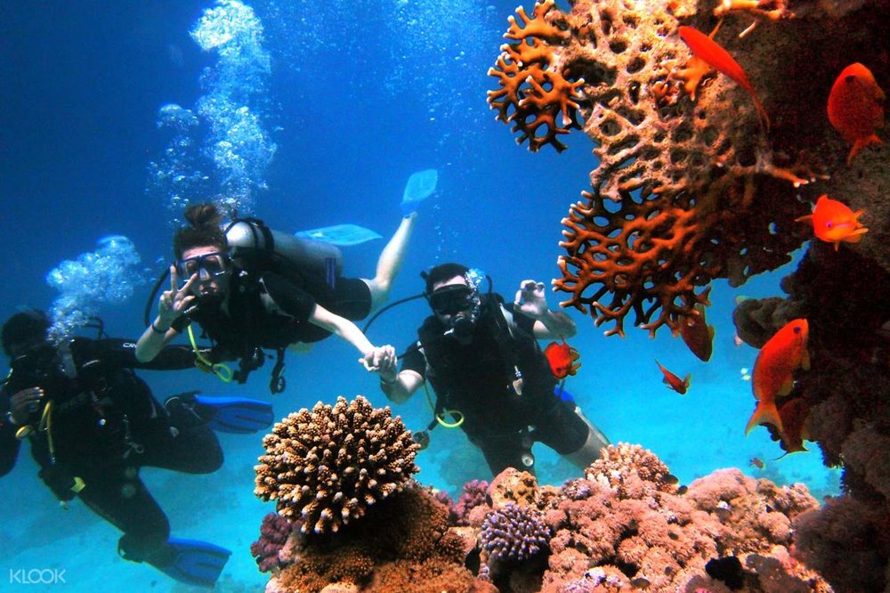 pulau perhentian diving