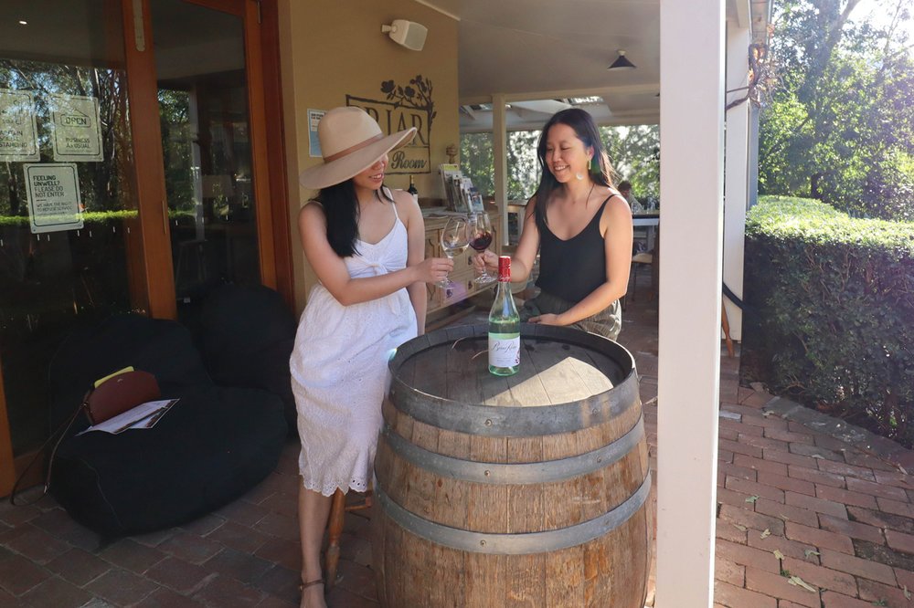 Briar Ridge Wine Tasting in Hunter Valley
