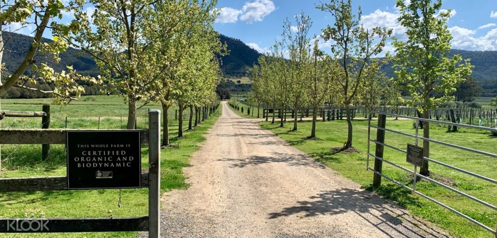 Krinklewood Vineyard Wine Tasting in Hunter Valley