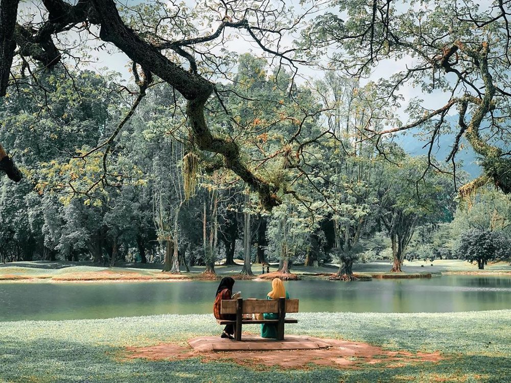 Taiping Lake Gardens