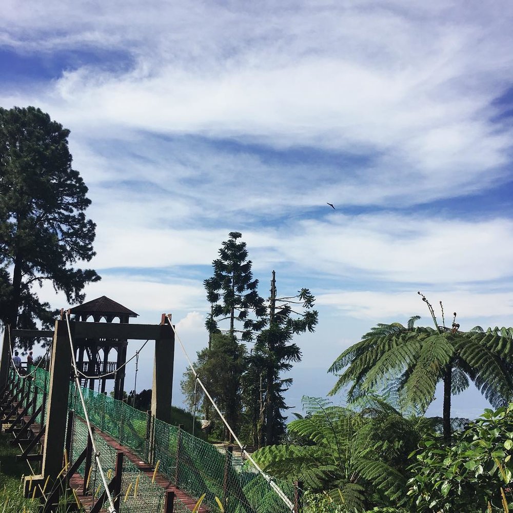 bukit larut maxwell hill taiping