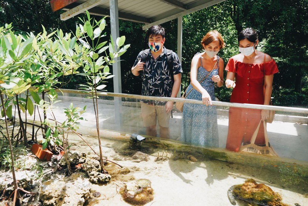 St John’s Island Marine Conservatory 
