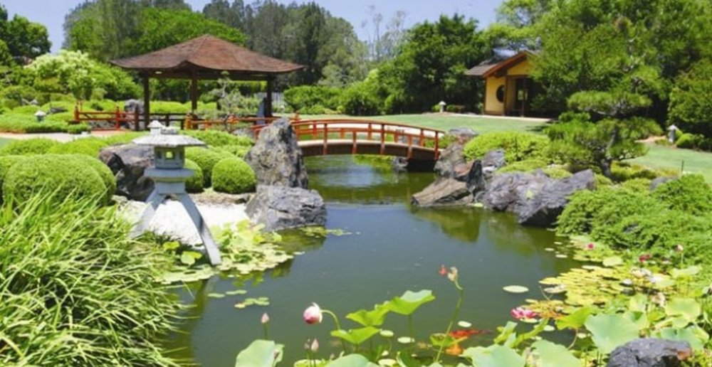 Japanese Garden in Sydney