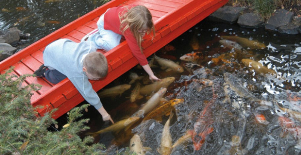 Japanese Gardens Sydney