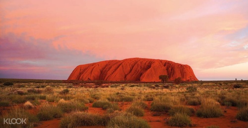 Uluru Road Trip