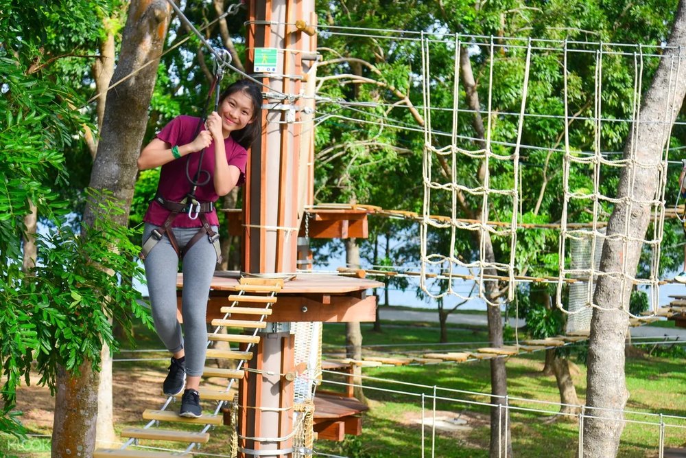 Forest Adventure at Bedok Reservoir
