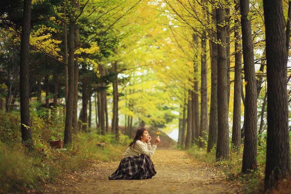 autumn nami island korea