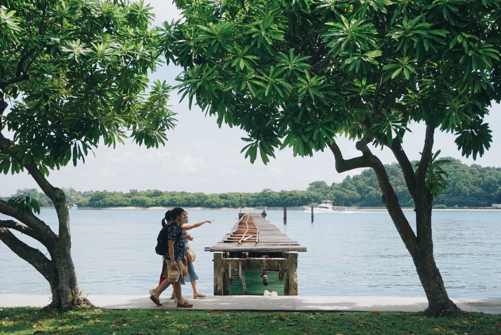 southern island guide kusu island trees 