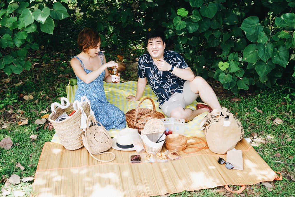 southern island guide picnic 