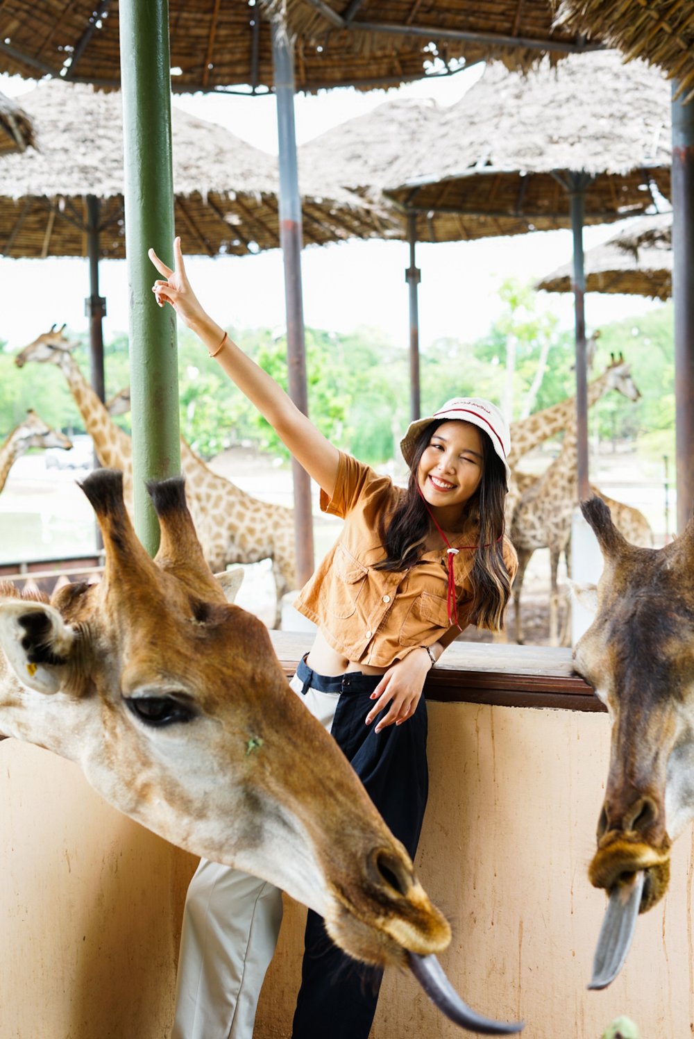 ถ่ายภาพกับยีราฟที่ซาฟารีเวิลด์
