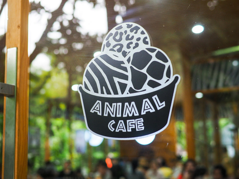 ร้าน Animal Cafe ที่ซาฟารีเวิลด์ (Safari World)