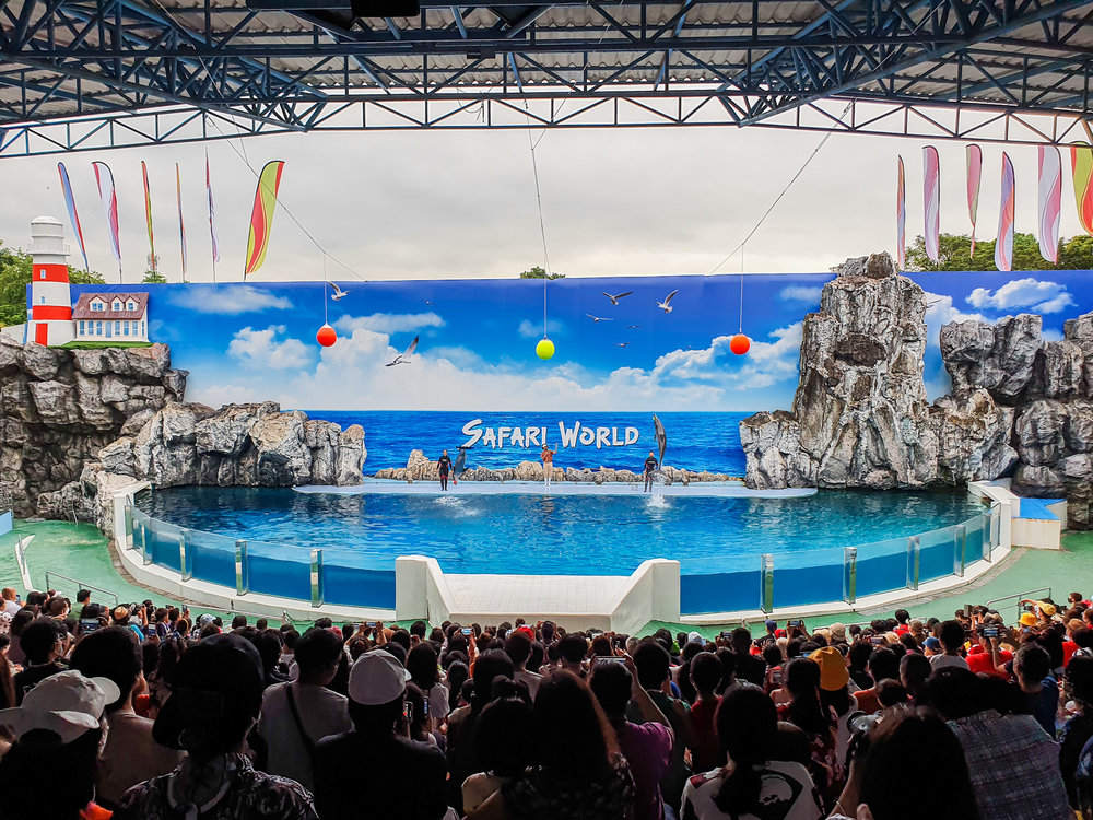 โชว์โลมา ซาฟารีเวิลด์ (Safari World)