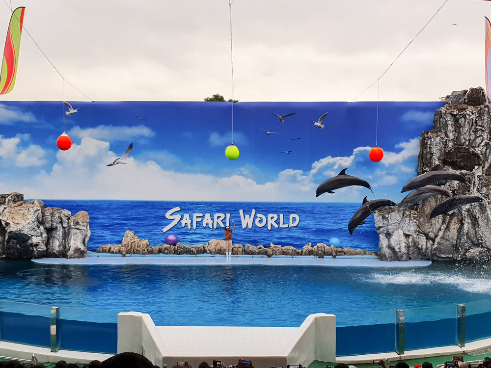 ดูโลมาที่ซาฟารีเวิลด์ (Safari World)