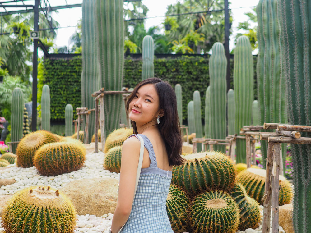 จุดถ่ายภาพที่สวนตะบองเพชร 1