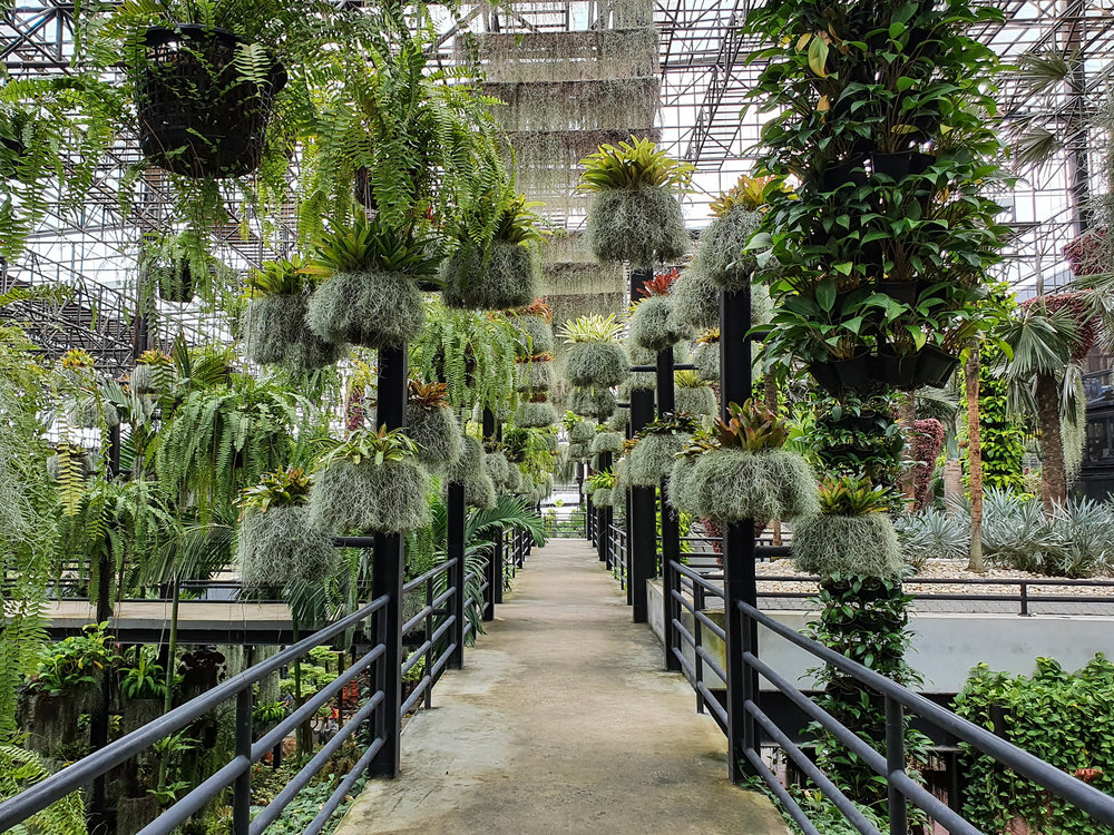 สวนลอยฟ้าที่สวนนงนุช