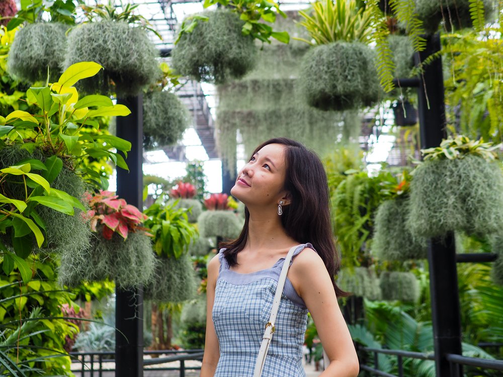 เวลาน้อยแต่ก็เที่ยวสวนนงนุชได้