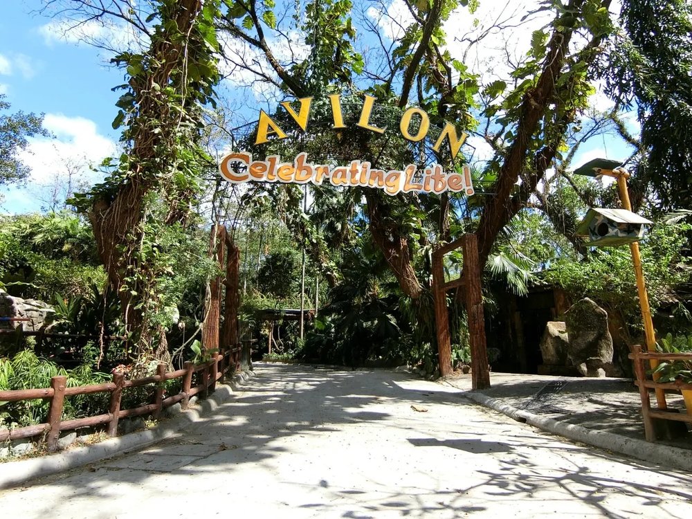 avilon zoo
