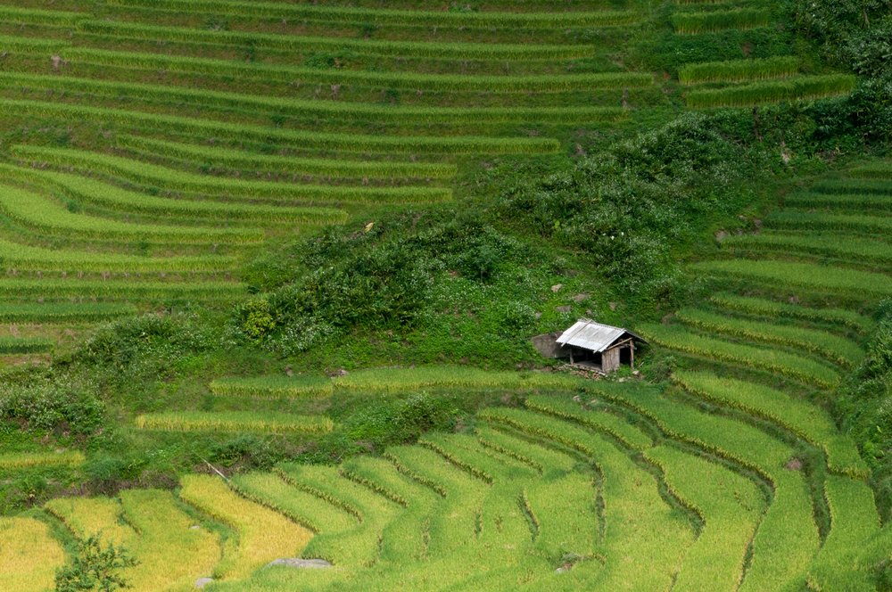 kinh-nghiem-di-sapa