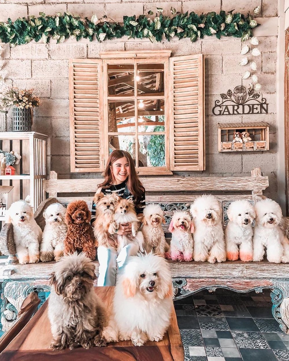 Rumah Guguk Bandung @vivijessica