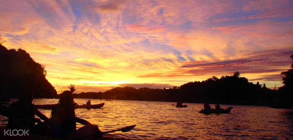 マングローブカヤック