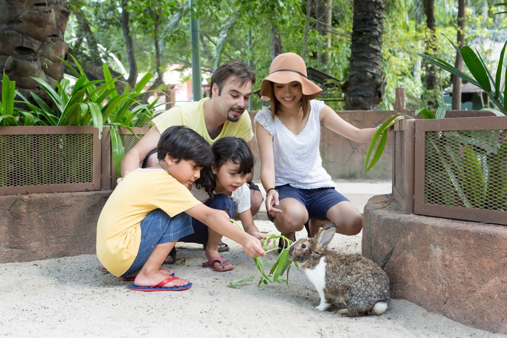 sunway lagoon tickets visit guide