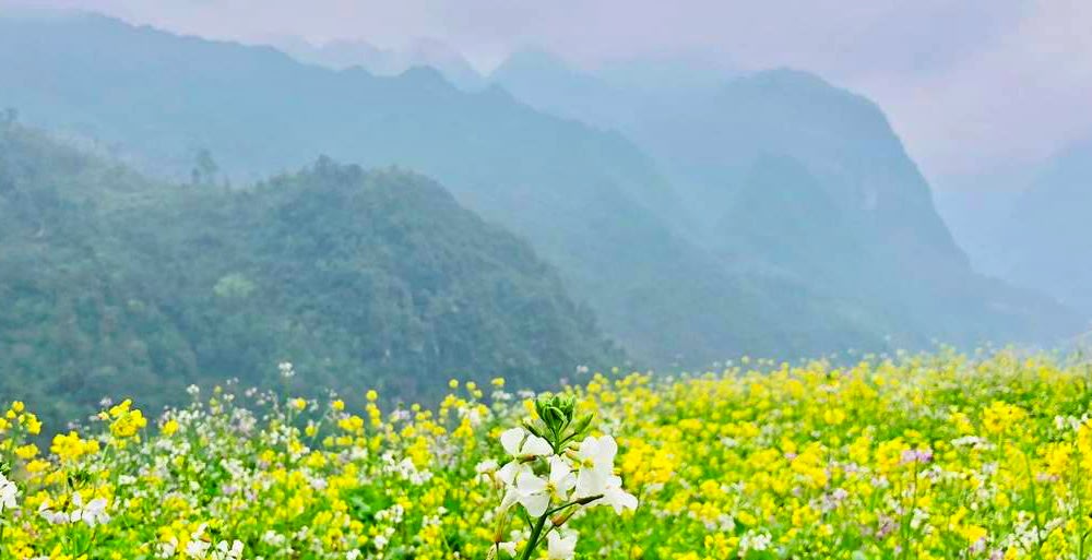 Chiêm Ngưỡng Cung Đường Đèo Nổi Tiếng Tại Ô Quy Hồ