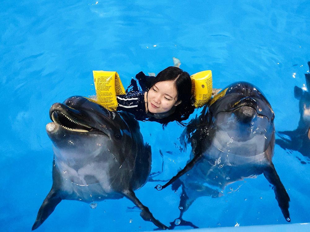 ว่ายน้ำกับโลมาได้แบบใกล้ชิด