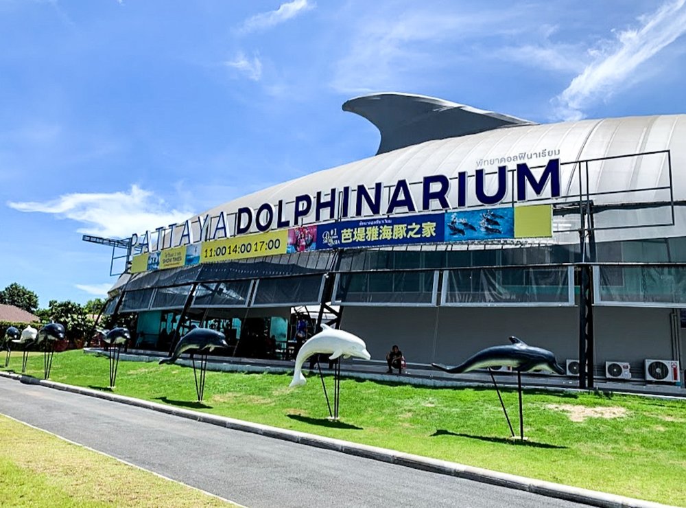 อาคารพัทยาดอลฟินาเรียม (Pattaya Dolphinarium)