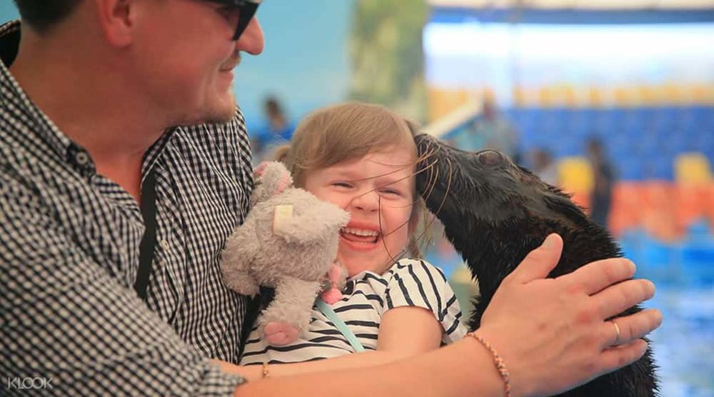 พบกับเจ้าแมวน้ำแสนซนได้แบบใกล้ชิด