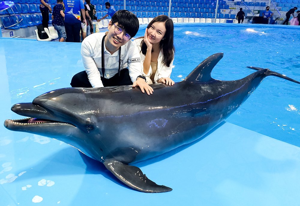 ถ่ายภาพกับโลมาแบบใกล้ชิดที่พัทยาดอลฟินาเรียม (Pattaya Dolphinarium)