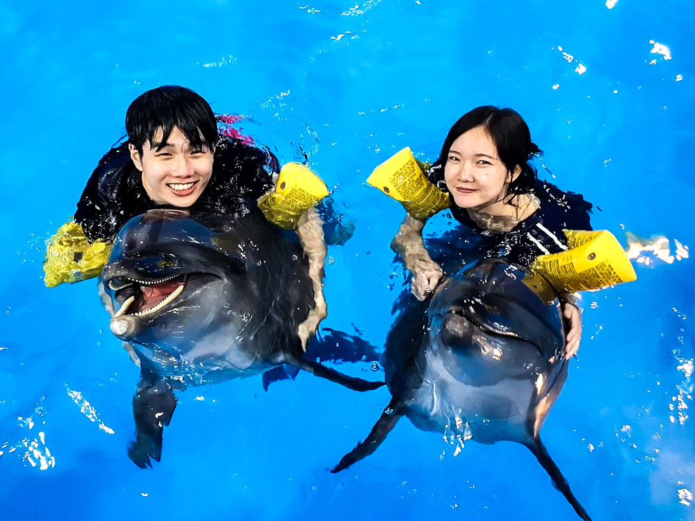 จูงมือแฟนไปว่ายน้ำกับโลมาที่พัทยาดอลฟินาเรียม (Pattaya Dolphinarium)