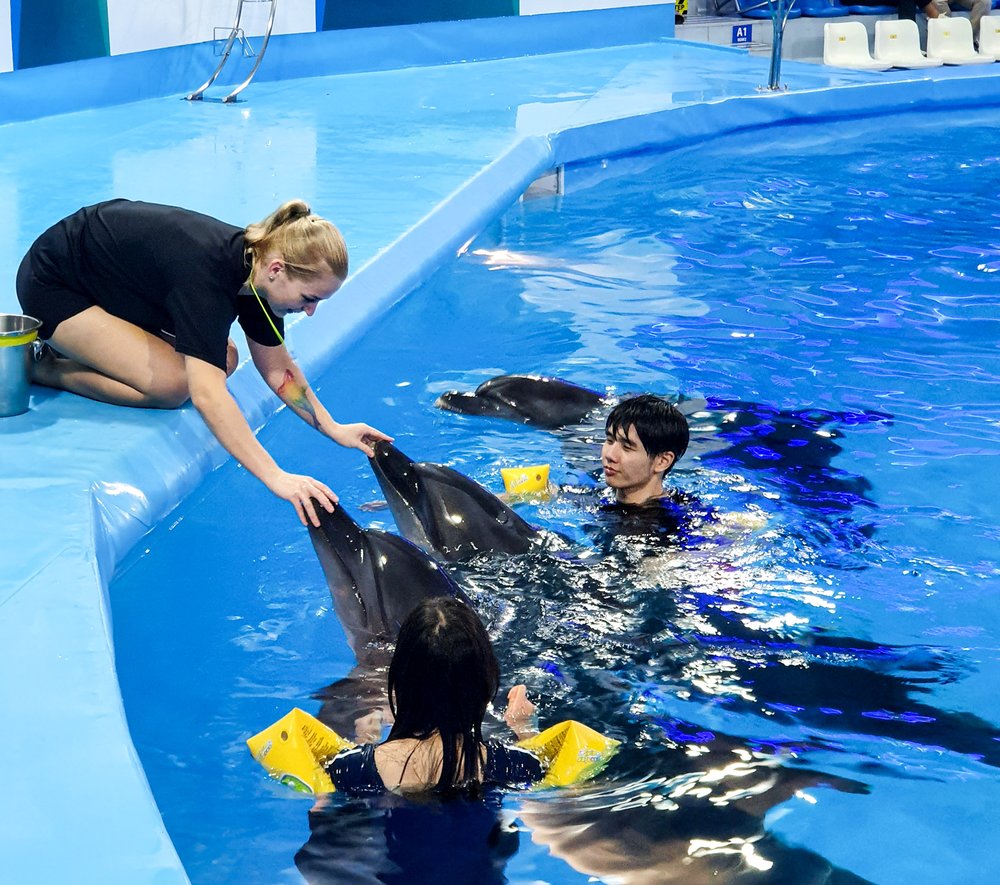 เรียนรู้วิธีเล่นกับโลมาจากผู้ฝึกสอนมืออาชีพ